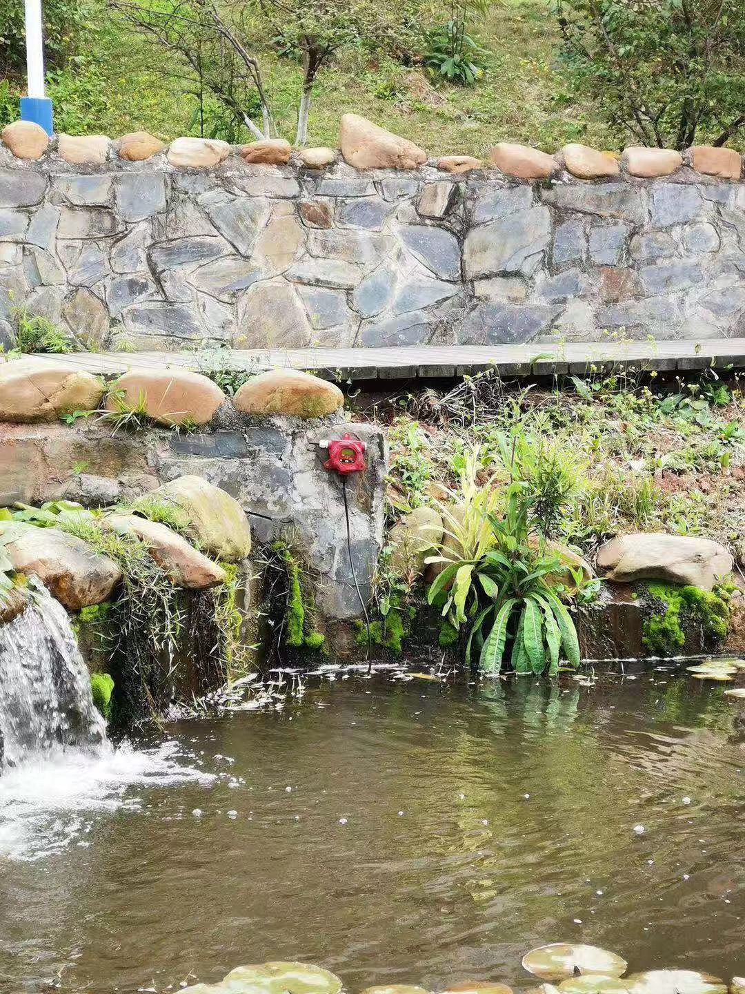 TK83G80K5T5 智能消防液位表